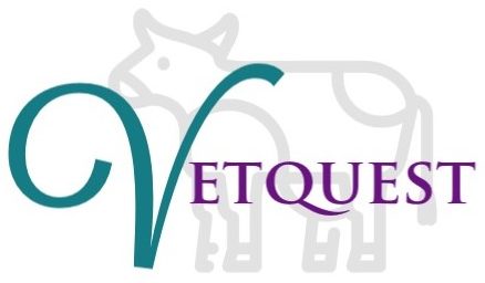 Vetquest Research